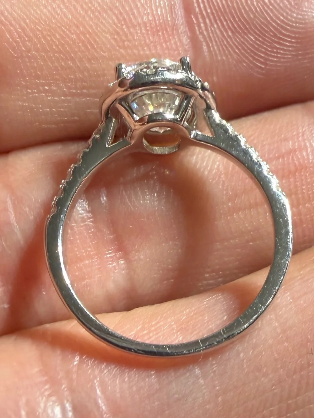 N/A elegant halo